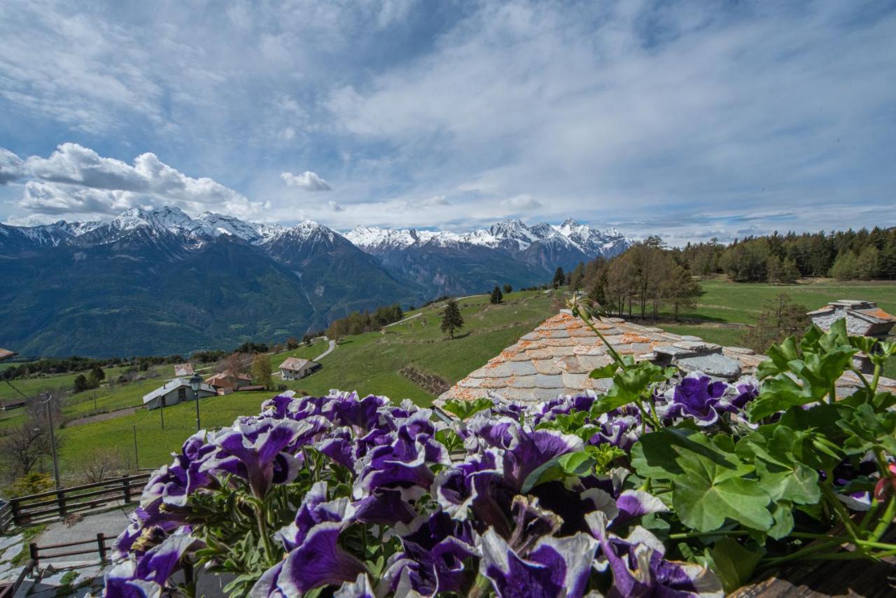 Baita di charme con vista meravigliosa Verrayes Esterno foto